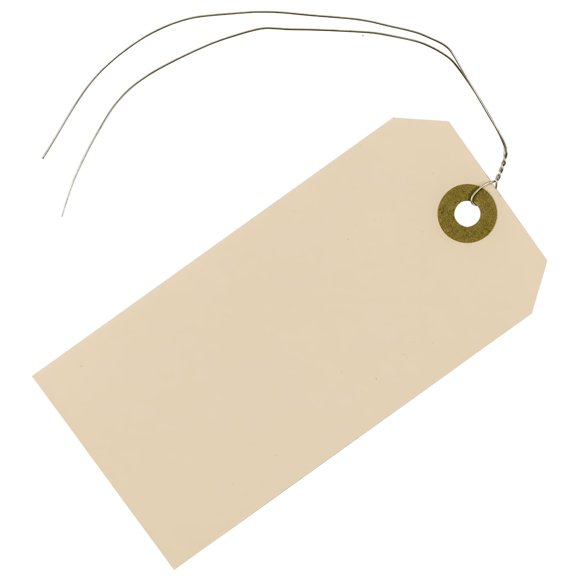CCOCC 100 Pcs Blank Gift Tags with String, 4.75 x 2.37 Inch Manila Paper Labels with Metal Wire for Inventory & Pricing