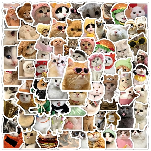 CCOCC 100 Pcs Funny Cat Stickers Cute Cat Meme Stickers Funny Kitten Sticker for Adults Kitty Vinyl Waterproof Stickers for Water Bottles Laptops Phone Luggage Guitar