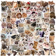 CCOCC 100 Pieces Funny Cat Stickers, Cute Cats Meme Stickers for Water Bottle Laptop, Pet Cat Decal for Luggage Skateboard Bicycle, Vinyl Kitty Animals Sticker