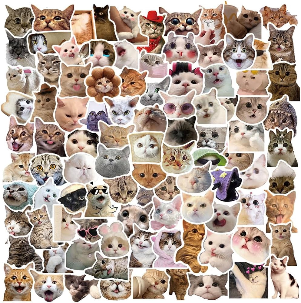 CCOCC 100 Pieces Funny Cat Stickers, Cute Cats Meme Stickers for Water ...