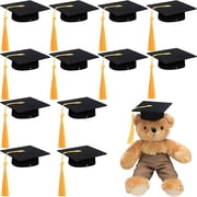 CCOCC 12 Pcs Mini Graduation Cap with Tassel Mini Plush Mason Jar Small Animal Bachelor Hat Photo Prop Party Supply