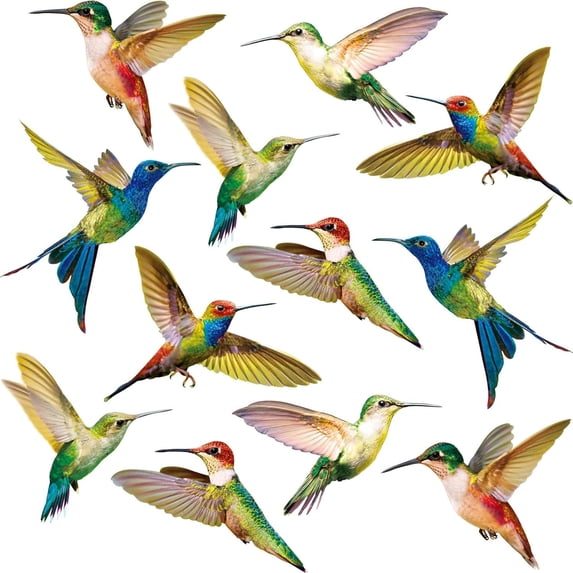 CCOCC 18Pcs Bird Window Decals,Hummingbird Stickers Window Clings ...
