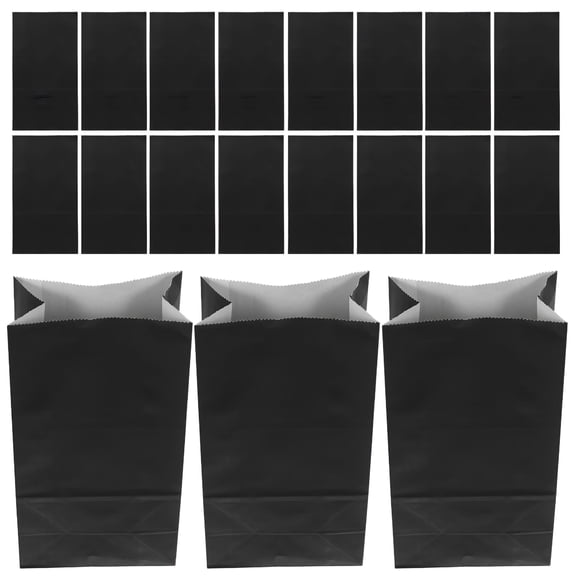 CCOCC 20 Pcs Black Paper Party Bags 12 Pack Black Gift Bags Goodie Bags Bulk Package Bags Party Favor Bag