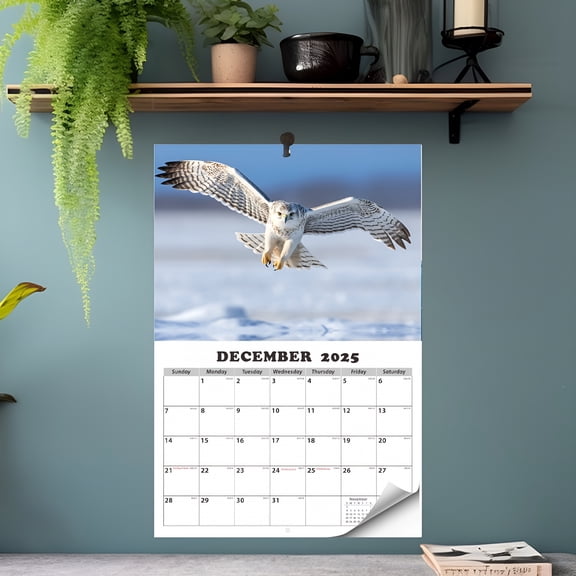 CCOCC 2025 Majestic Birds of Prey Wall Calendar,16.5" x 11" Nature Photography,Large Grids for Scheduling,FSC Certified Paper,Perfect for Home or Office Dcor