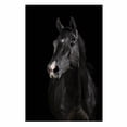 CCOCC 2026 New Wall Posters,Easy to Use Wall Decor,Wide Application ...