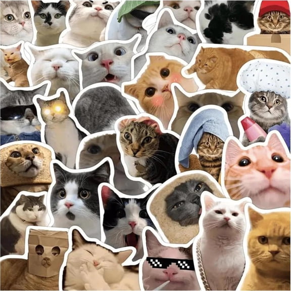 CCOCC 50 Pcs Cat Stickers,Funny Cat Meme,Kawaii for Kids Adults,Waterproof Vinyl Stickers for Laptop Phone Guitar Water Bottles Luggage(1 Pack)