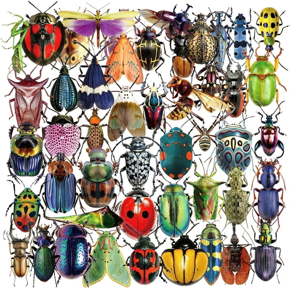 CCOCC 50Pcs Colorful Insect Beetle Stickers,Waterproof Realistic Bug Stickers for Kids Teens Adults,Aesthetic Entomology Decals for Water Bottles Laptops,Bug Lover Gifts