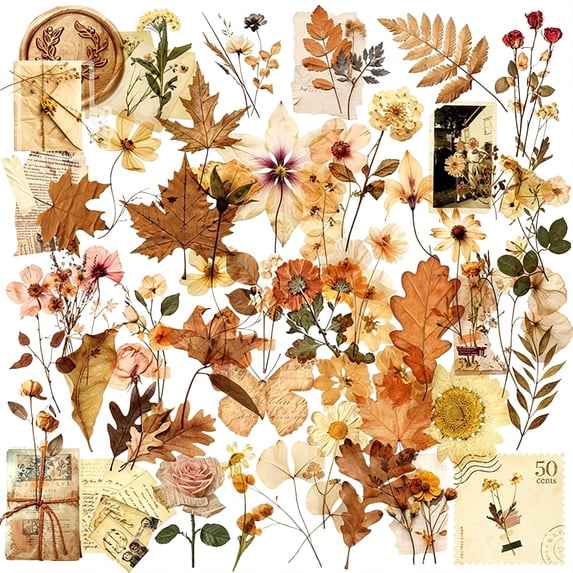 Retro Botanical Pattern CCOCC 52Pcs Vintage Botanical Scrapbook Stickers Pack, Transparent Fern ...