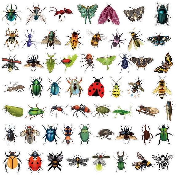 CCOCC 55Pcs Cool Stickers, Cute Insect Bug Waterproof Vinyl Decals Kids Water Bottle Laptop