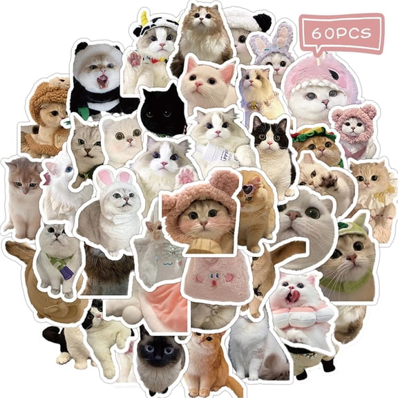 CCOCC 60 Pcs Cute Cat Stickers for Water Bottle,Kawaii Cats Meme Sticker for Kids Adults,Funny Meme Kitten Waterproof Vinyl Decals for Laptop Guitar Suitcase