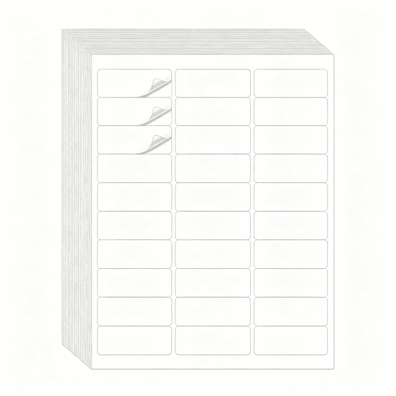 CCOCC Address Labels,1" X 2-5/8" Mailing Labels for Envelopes,900 Address Label Sticker Paper for Laser/Ink Jet Printer,White Blank Printable Sticker Labels 30 Per Sheet 8.5"11"