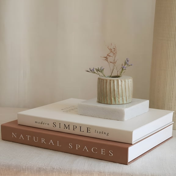 CCOCC Beautiful Decorative Books-Set of 2 Boxes Enhance Your Coffee Table,Bookshelf Or Mantel Shelf Decor-Aesthetic Fake/Faux Books for Modern Home Decoratio and As a Keepsake Box