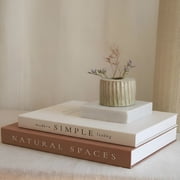 CCOCC Beautiful Decorative Books-Set of 2 Boxes Enhance Your Coffee Table,Bookshelf Or Mantel Shelf Decor-Aesthetic Fake/Faux Books for Modern Home Decoratio and As a Keepsake Box