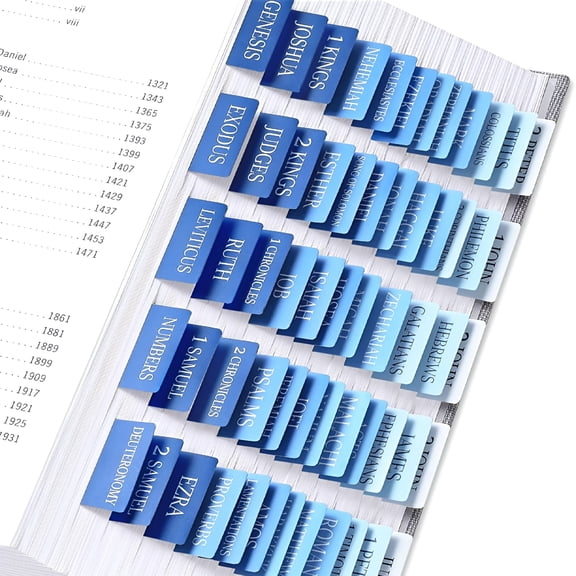 CCOCC Bible Tabs for Women&Men Laminated Bible Tabs for Study Bible Large Print Neutral Bible Tabs for Easy Navigation Bible Index Tabs 66 Tabs Old&New Testament Extra 9 Blank Tabs