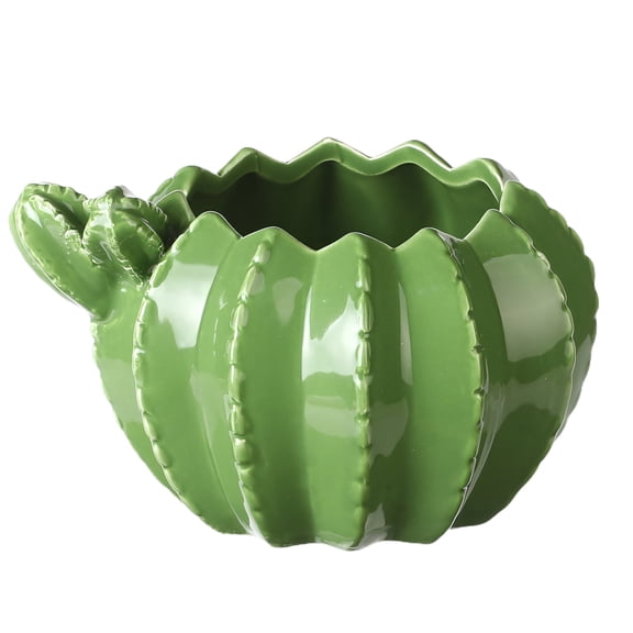 CCOCC Ceramic Planter,L High-Quality Handcrafted Glazed Ceramic Bonsai Pot,Charming Cartoon Cactus Planters for Indoor Plants