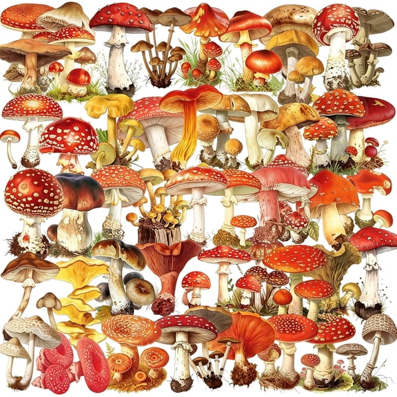 CCOCC Clear Mushroom Stickers,50Pcs Cute Mushroom Scrapbook Stickers for Journaling,Junk Journal,Water Bottles,Phone Cases,Laptops,Waterproof Transparent Scrapbook Supplies(Colourful-B10)