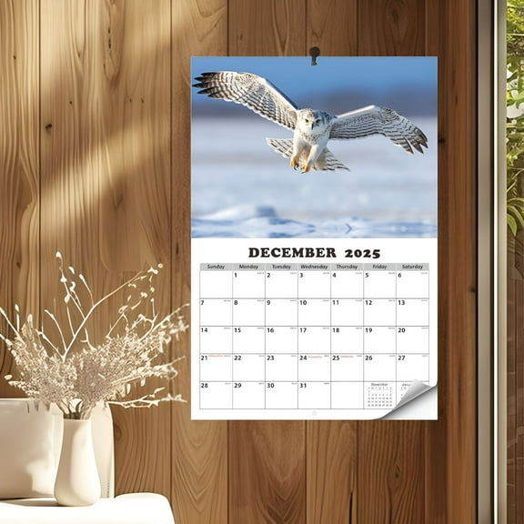 CCOCC Owls Calendar - Birds Wildlife Monthly Wall Calendar - 16.5" x 11" - Thick No-Bleed Paper - Giftable - Teacher's Planner Calendar