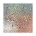 thumbnail image 1 of CCOCC Privacy Window Film,Floral Frosted Frosted Glass Window Film,Heat Reflective And Uv Resistant Sun Catcher,Style 2, 1 of 3