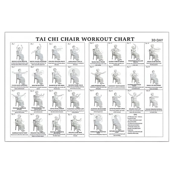 CCOCC Seated Exercise Chart Tai Chi Chair Workout Canvas Poster 12X18 Unframed Bedroom Decor