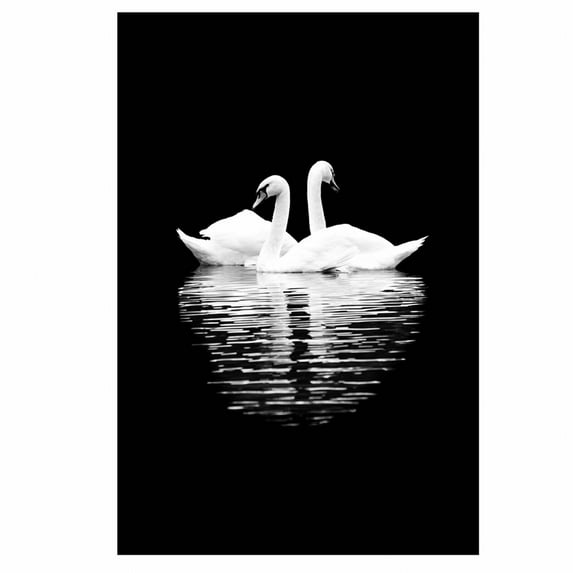 CCOCC Wall Posters,Creative Simplicity Wall Decor,Full-Color Design Posters & Prints,B,8.2X12inch No Frame