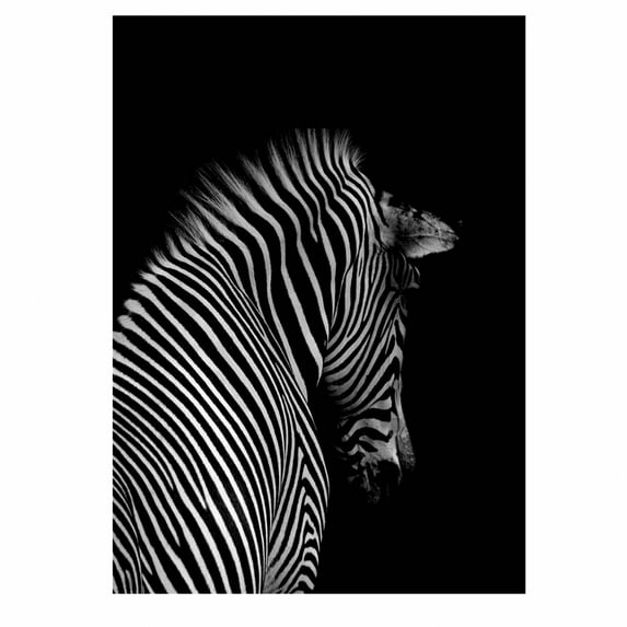 CCOCC Wall Posters,Creative Simplicity Wall Decor,Full-Color Design Posters & Prints,H,8.2X12inch No Frame