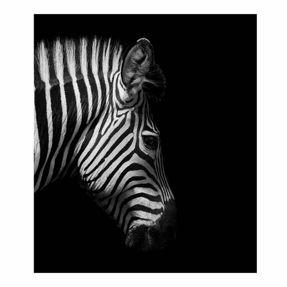 CCOCC Wall Posters,Full-Color Design Wall Decor,Creative Simplicity Posters & Prints,K,8.2X12inch No Frame