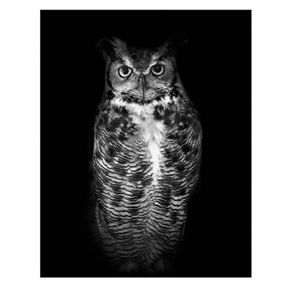 CCOCC Wall Posters,Full-Color Design Wall Decor,Easy to Use Posters & Prints,D,24x31inch No Frame