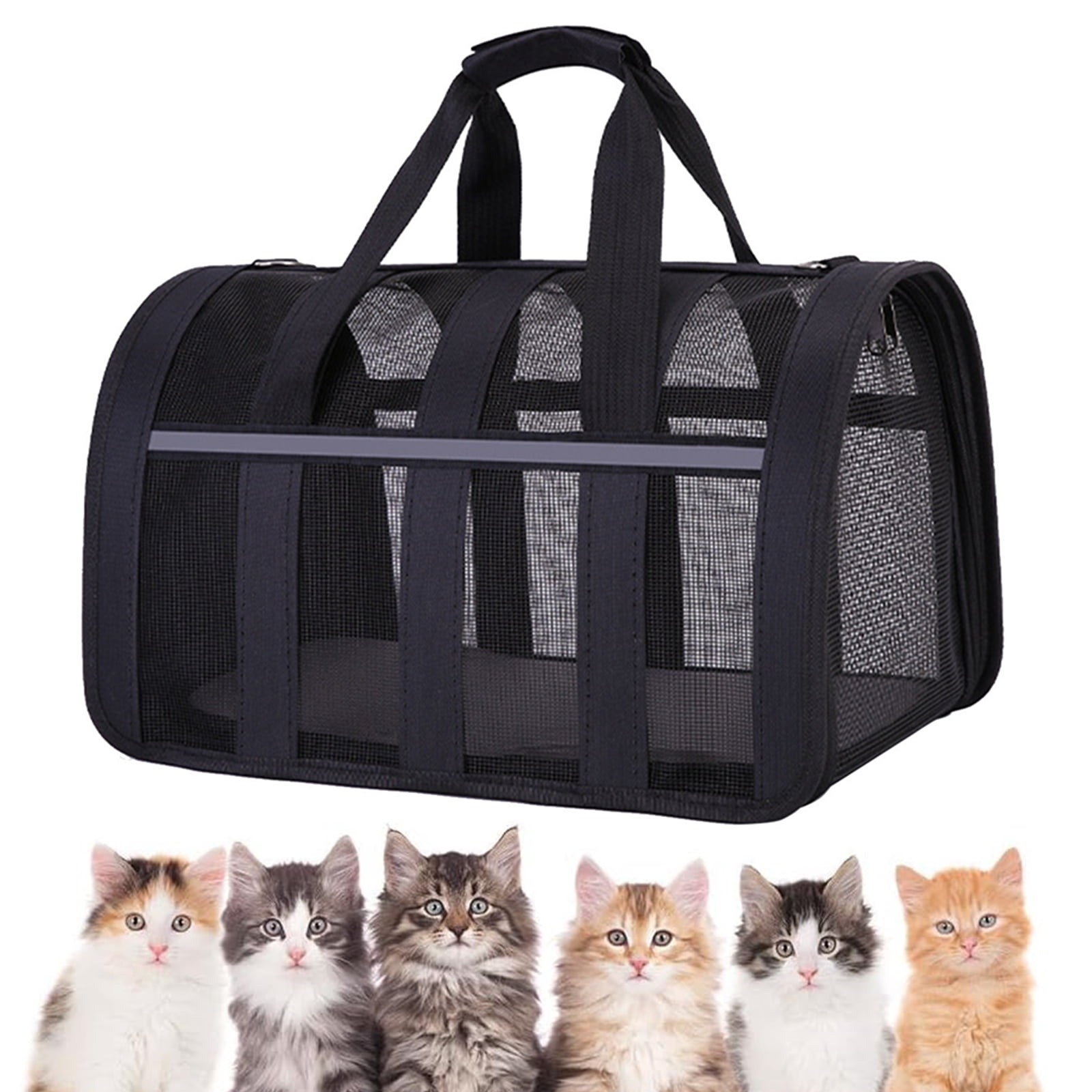 CCWADH Pet Carrier for Small Dogs, Cats, Puppy, Airline Approved Cat Carriers Dog Carrier Collapsible, Travel Handbag Bag for Cats Puppy(Black-L)