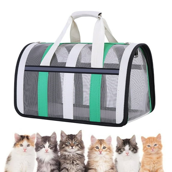 CCWADH Pet Carrier for Small Dogs, Cats, Puppy, Airline Approved Cat Carriers Dog Carrier Collapsible, Travel Handbag Bag for Cats Puppy(Green-L)