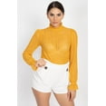 thumbnail image 1 of CCWHOLESALESCLOTHINGS Ruffle Mock Neck Lace Blouse, 1 of 5