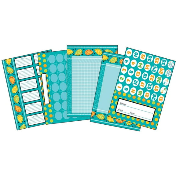 CD-110220 - Teal Appeal Bulletin Board Set by Carson Dellosa