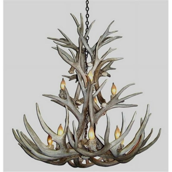 CDN Antler Design UNSRMDCA-M 27-28 in. Real Antler Chandelier- Medium