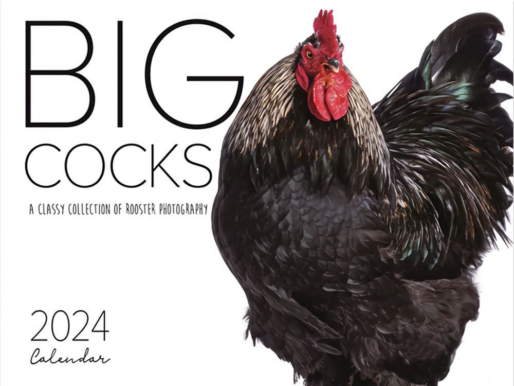 CELNNCOE Chicken Daddies Calendar 2024,Funny Calendars Big Cocks 2024