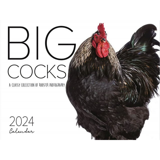 CELNNCOE Chicken Daddies Calendar 2024,Funny Calendars Big Cocks 2024