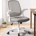 thumbnail image 1 of CELTOSS Ergonomic Office Chair, Mid Back Mesh Computer Desk Chair, Flip-Up Arms, Adjustable Lumbar Support for Home Office, Gray, 1 of 10