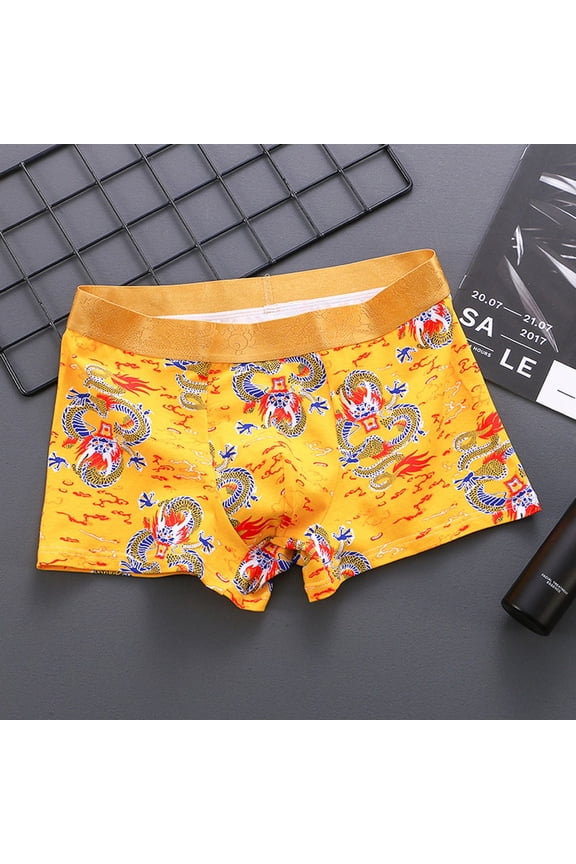 CENL Men Boxer Briefs Underwear Dragon pattern Loose Fit Comfortable Breathable