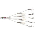 thumbnail image 1 of CENL Umbrella Fishing Bass Lure Rig 5 Arms Alabama Rig Head Swimming Bait with Swivel, 1 of 7