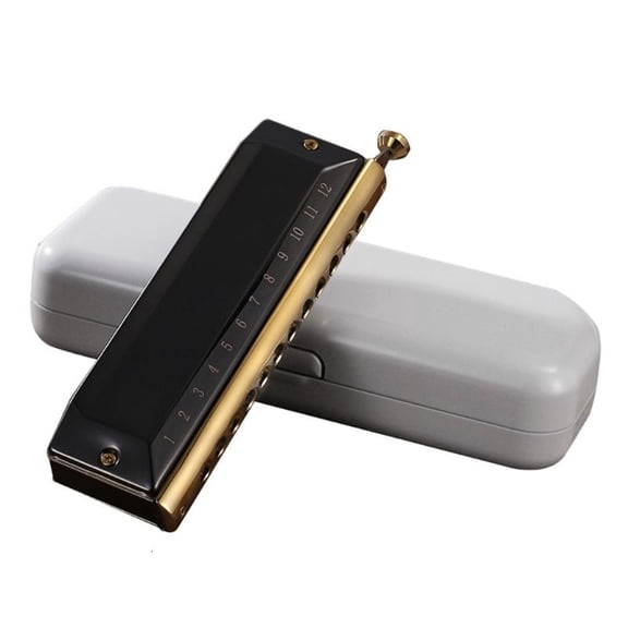 CEORPER 12 Holes Harmonica Harp Blues Mouth Organ Harp Education Music Sense Training
