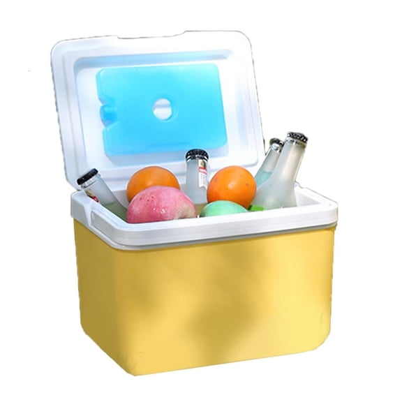 CEORPER Camping Coolers Ice Box 6L Insulated Ice Chest Portable Ice Bucket Outdoor Hard Coolers for Camping Beach Picnics