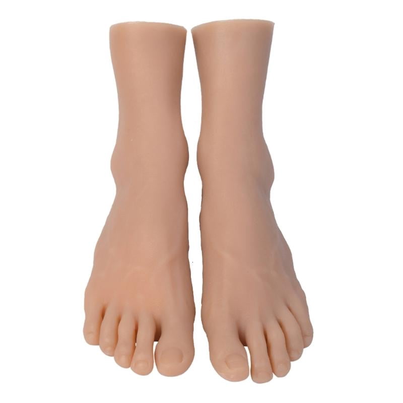 CEORPER Realistic Male Foot Anatomical Model Size 44 Teaching Foot Anatomy Model