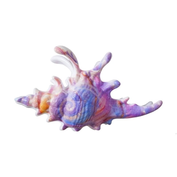CEORPER Trendy Conch Shaped Hair Claw Clip Strong Grip Multiple Color ...