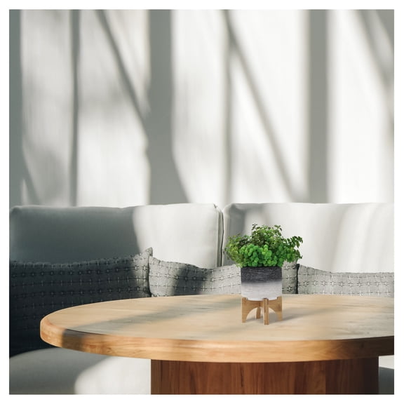 CERAMIC 5" PLANTER ON WOODEN STAND, GRAY Gray + Ceramic