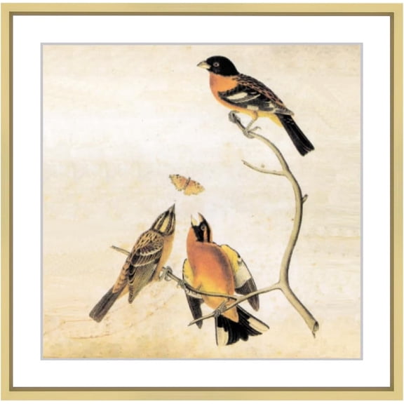 CERPXFF-7x7 Picture Frame, Brass Metal Square Photo Frames with HD Glass, Fits 6x6 with Mat or 7 x 7 without Mat, Display for Wall and Table, 1 Pack