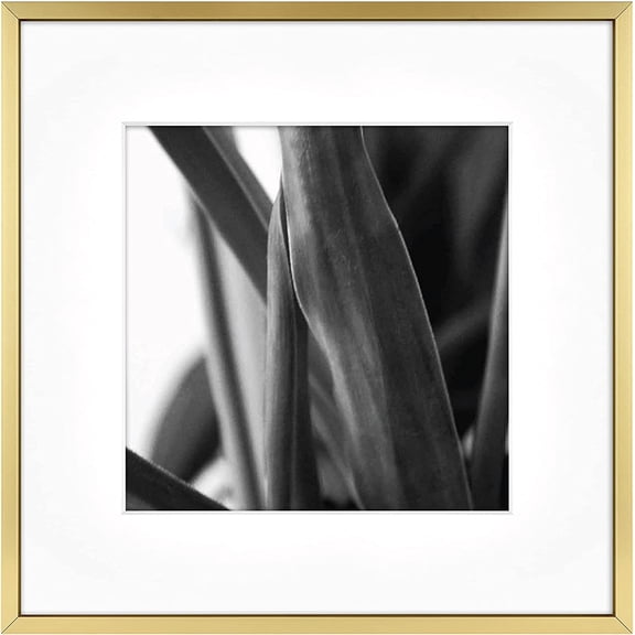 CERPXFF-Master & Co. Foundry Metal 12x12 Matted Picture Frame with 8x8 Photo Display, Brass Vertical & Horizontal Wall Hanging Frame for Photos & Artwork (1-Pack)