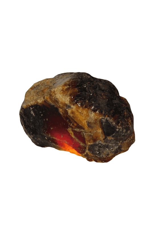 433.6 Ct Natural Orange Amber CERTIFIED Rough Rare Uncut Gemstones