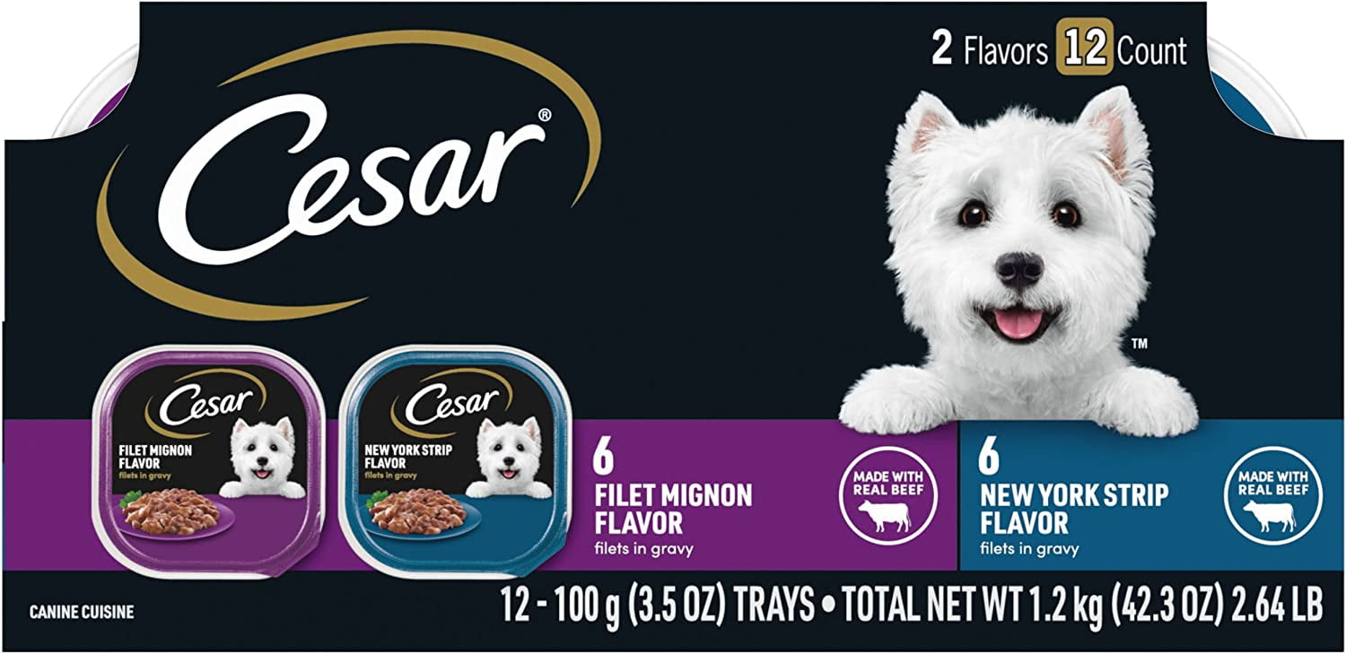 CESAR Wet Dog Food Filets in Gravy, Filet Mignon & New York Strip, 12