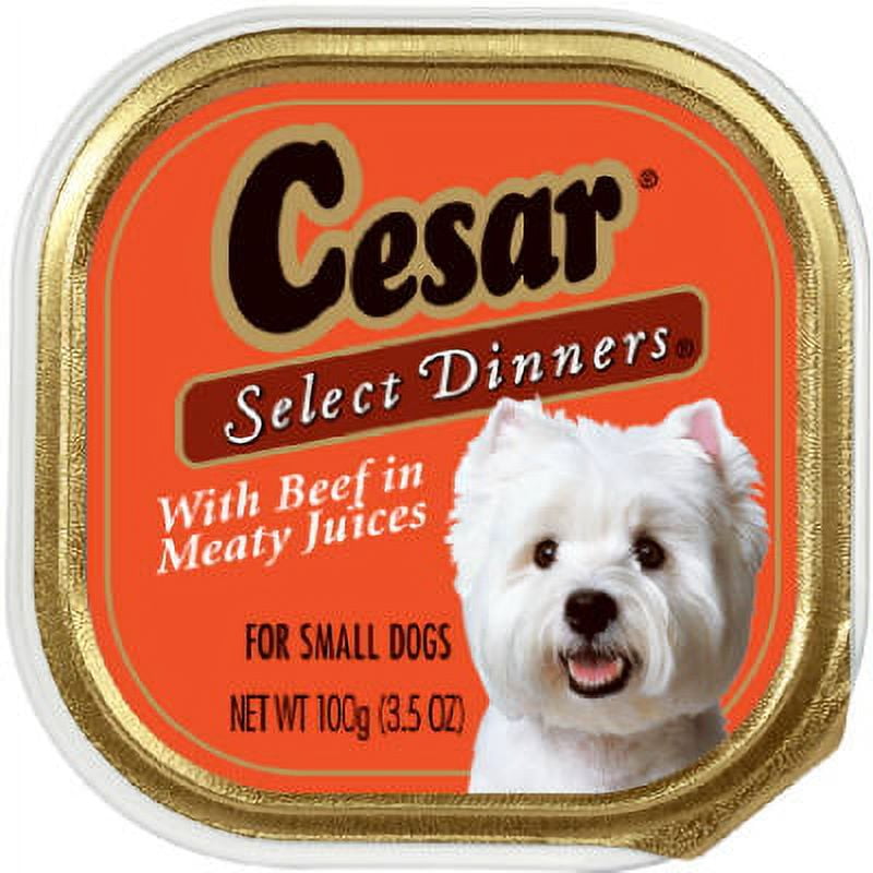 Cesar dog 2024 food 36 pack