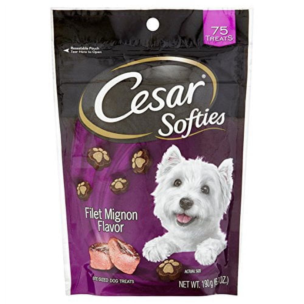 CESAR SOFTIES Filet Mignon Flavor Dog Treats 6.7 oz. 75 Treats