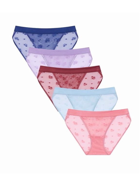 Womens Sexy Underwear Mesh See Through Bikini Panties Pack Hi Cut Briefs Sheer Lace String Lingerie Stretch Breathable Hipster for Laddies(5E,L)