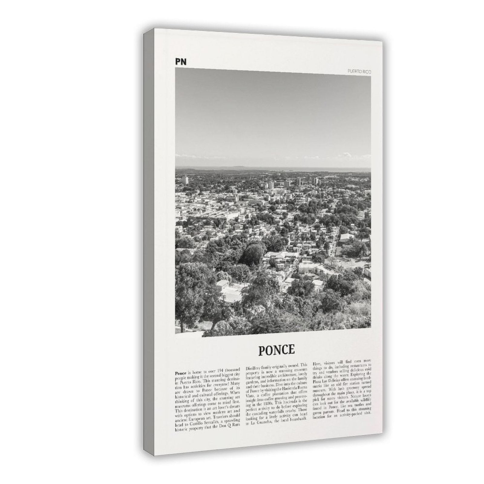 CFIOZYOS Ponce Print Black And White, Ponce Wall Art, Ponce Poster ...